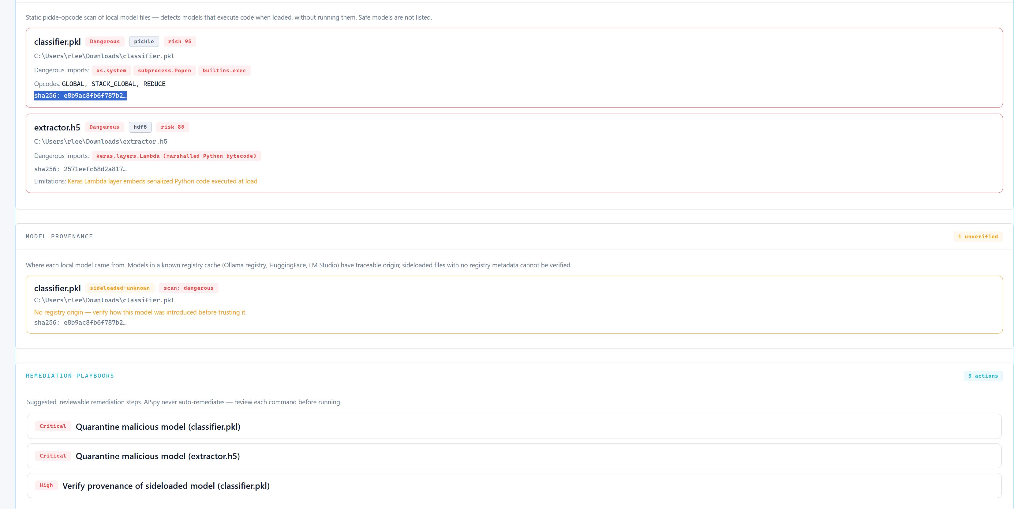 Model scan results showing dangerous pickle opcodes and file hash.